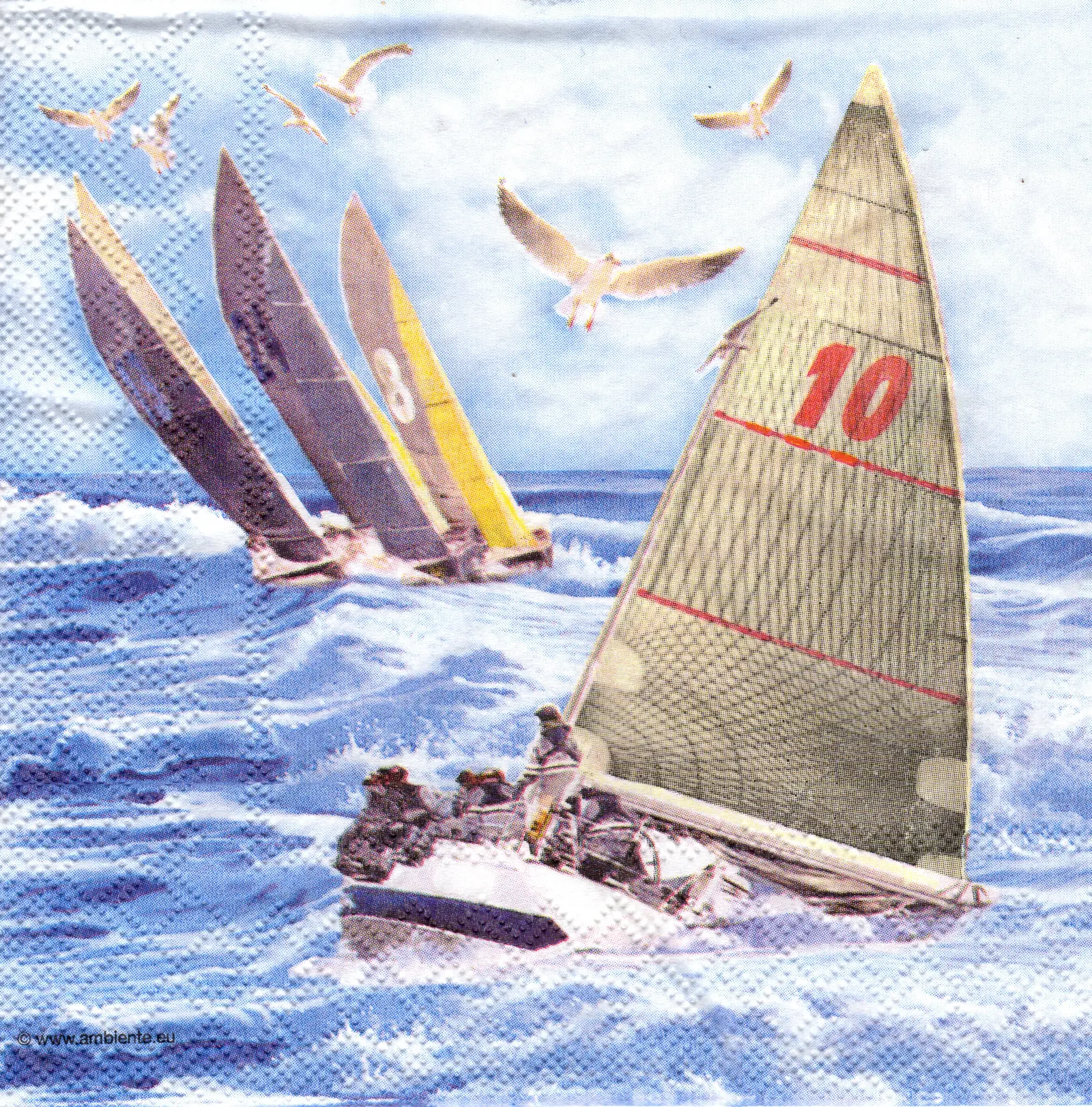 1331-5095.jpg
